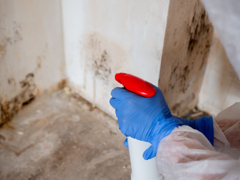 Basement Mold Remediation in West Palm Beach, FL