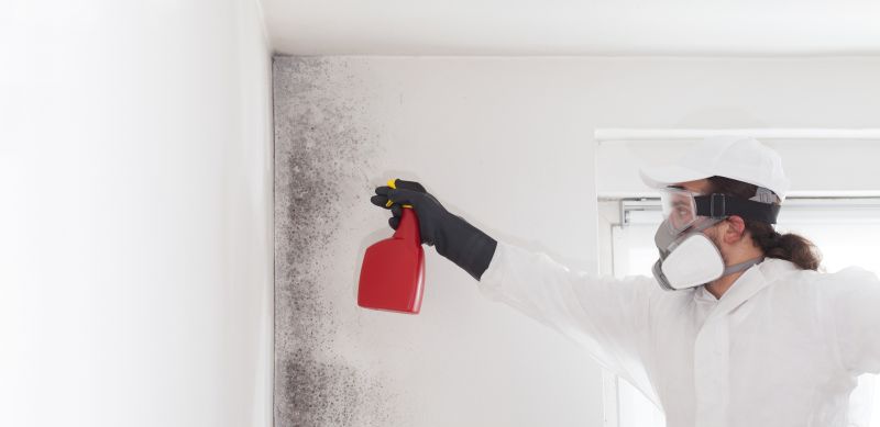 Crawlspace Mold Remediation in Boca Raton, FL