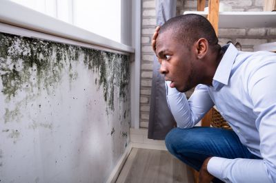 Mold Abatement in Boynton Beach, FL
