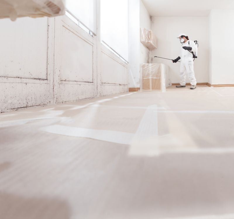 Mold Mitigation Service in West Palm Beach, FL