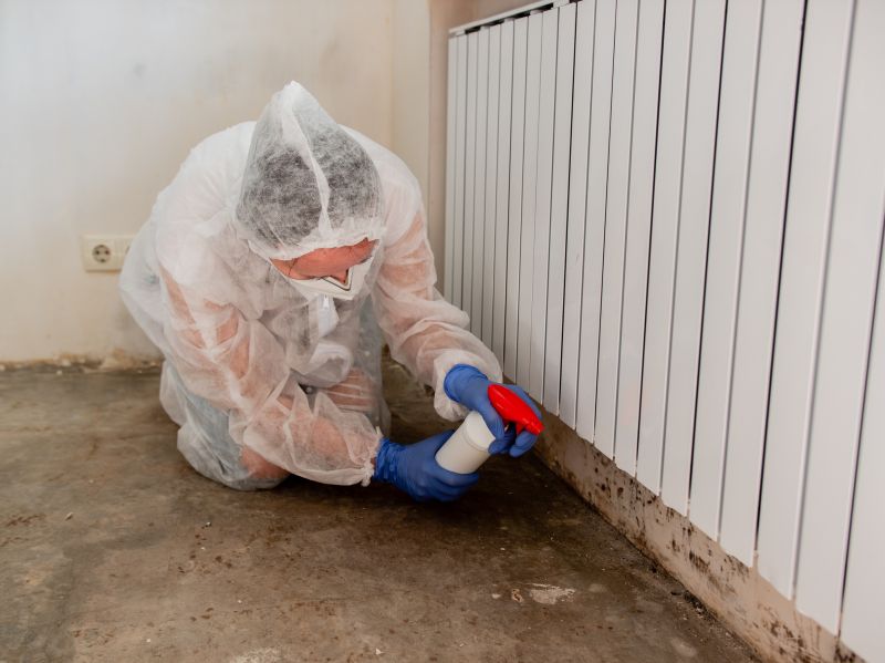 Air Duct Mold Removal in Fort Worth, TX