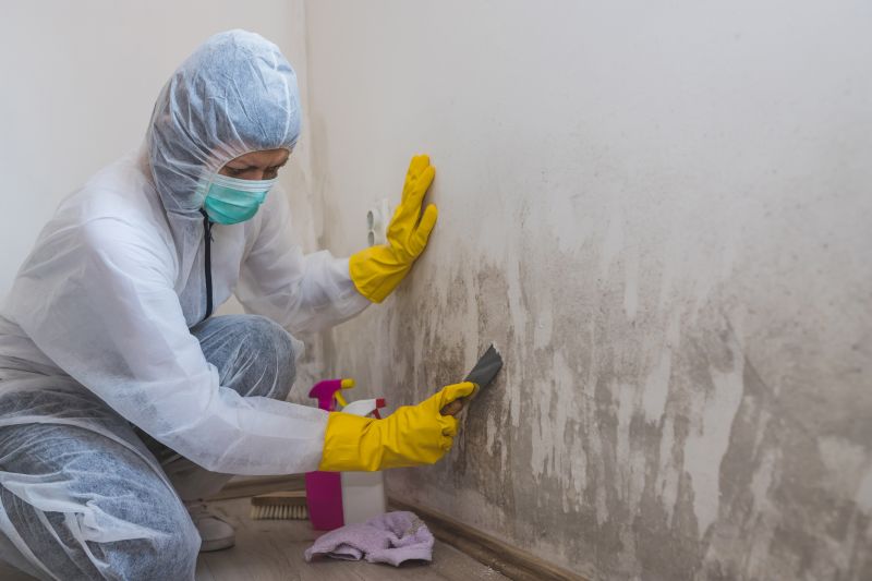 Attic Mold Remediation in Boca Raton, FL