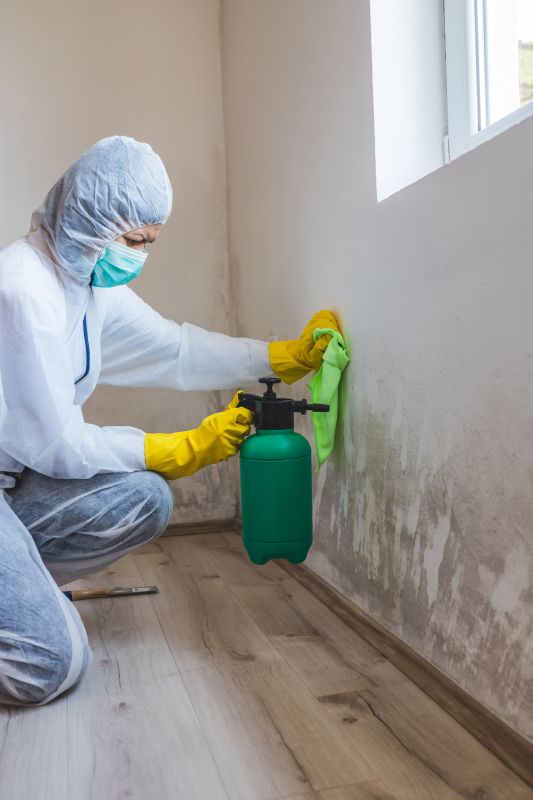 Basement Mold Remediation in Frisco, TX