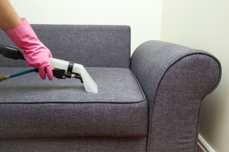 Couch Cleaning Service