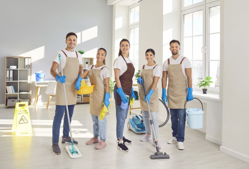 Apartment Cleaning Service detail