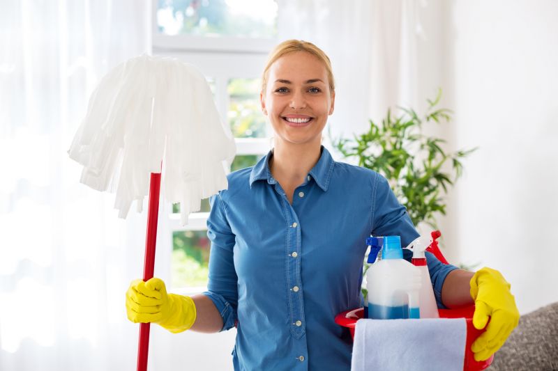 Apartment Maid Service detail