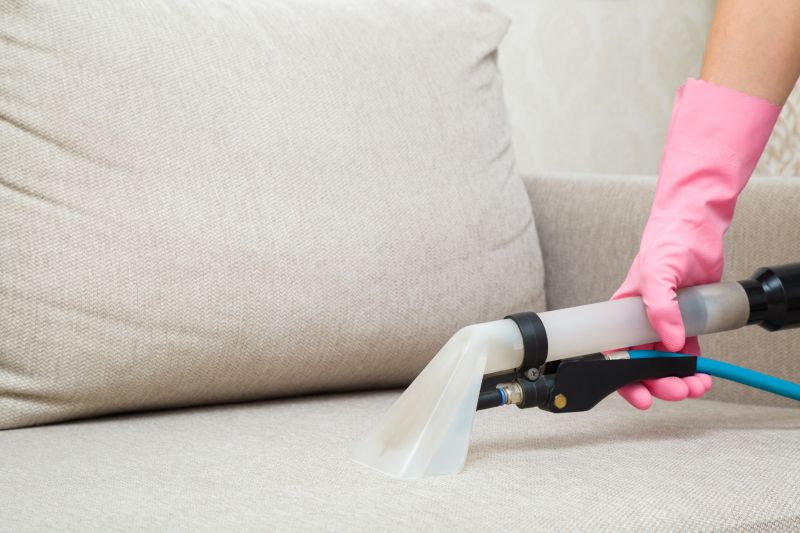 Couch Cleaning Service detail