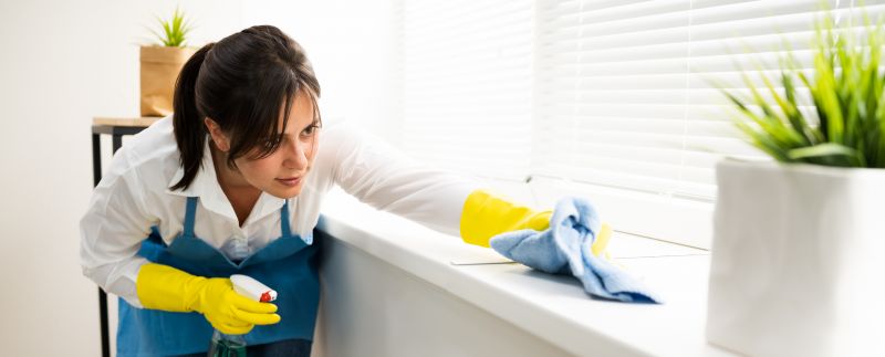 House Cleaning Service detail