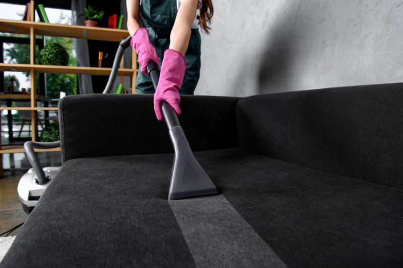 Upholstery Cleaning Service detail