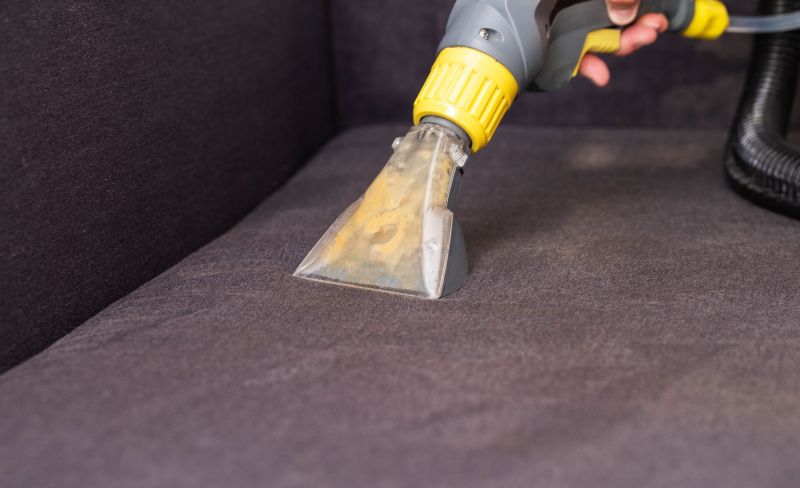 Upholstery Cleaning Service detail