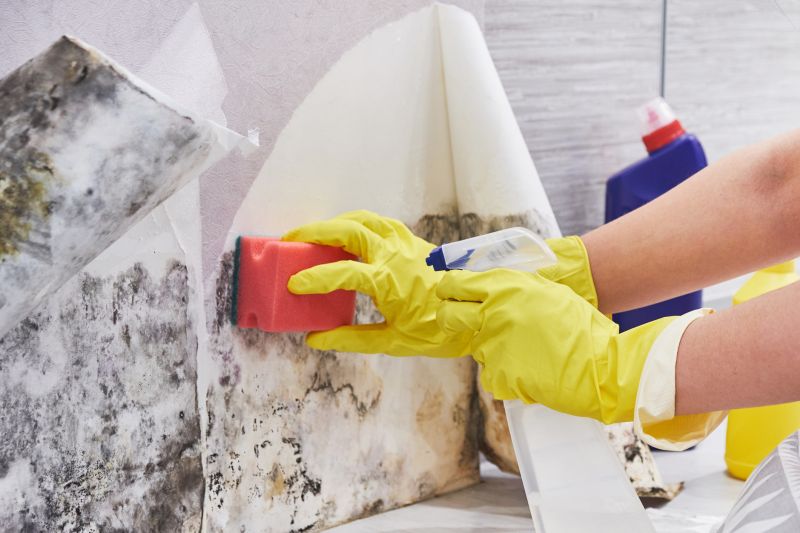 Garage Mold Remediation in West Palm Beach, FL