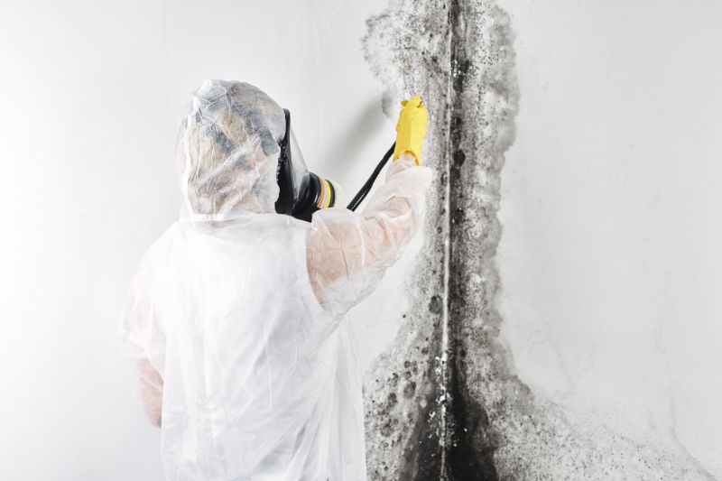 Garage Mold Remediation in Broward County, FL