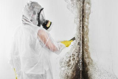 Mold Abatement in Jupiter, FL