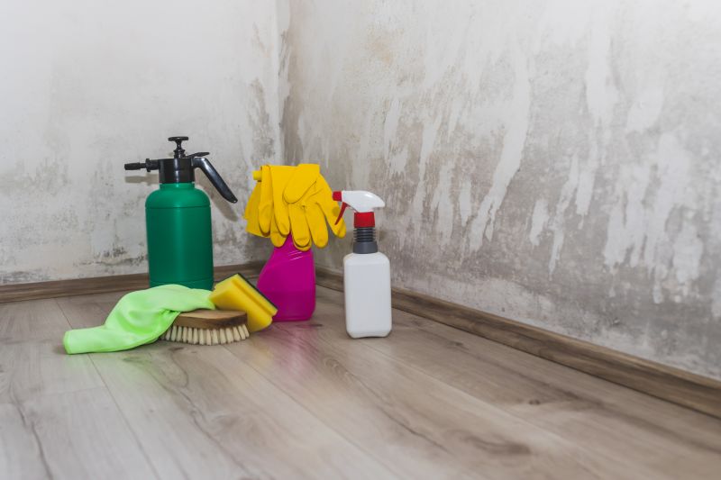 Mold Mitigation Service in Fort Lauderdale, FL