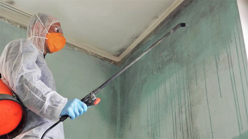 White Mold Mitigation in Dallas, TX
